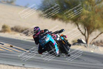 media/Jan-14-2024-SoCal Trackdays (Sun) [[2e55ec21a6]]/Turn 4 Tree of Life (155pm)/